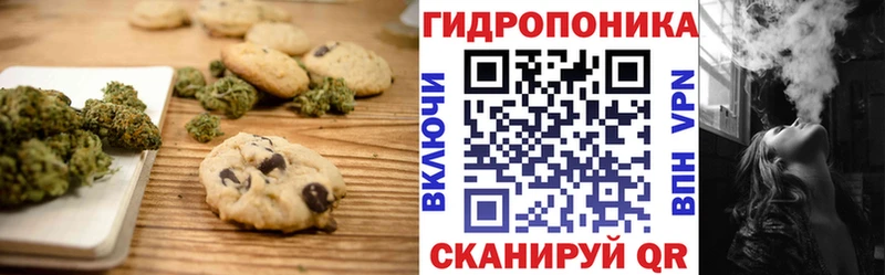 Cannafood конопля  Купить закладки  Куровское 