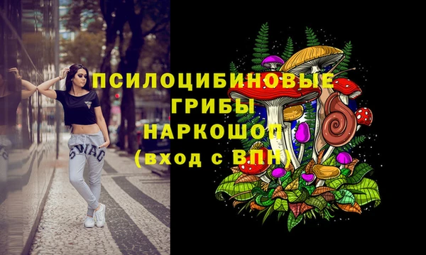 амф Вязьма