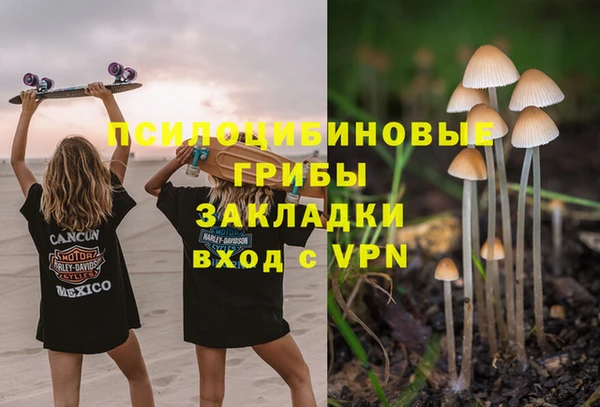 ALPHA PVP Вяземский