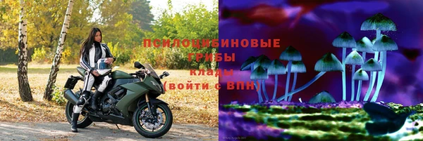 ALPHA PVP Вяземский