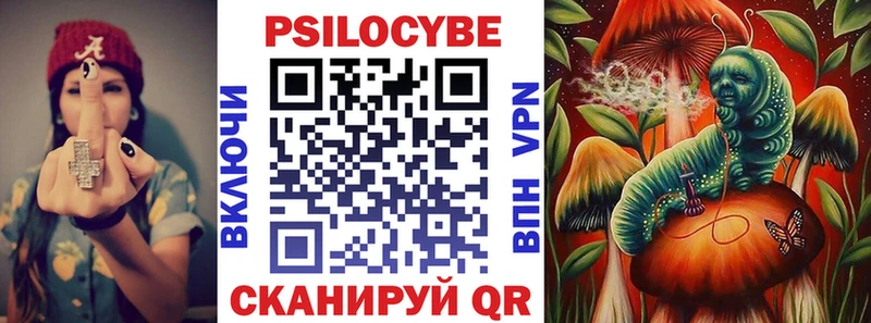 Псилоцибиновые грибы мицелий  Купить закладки  Куровское 